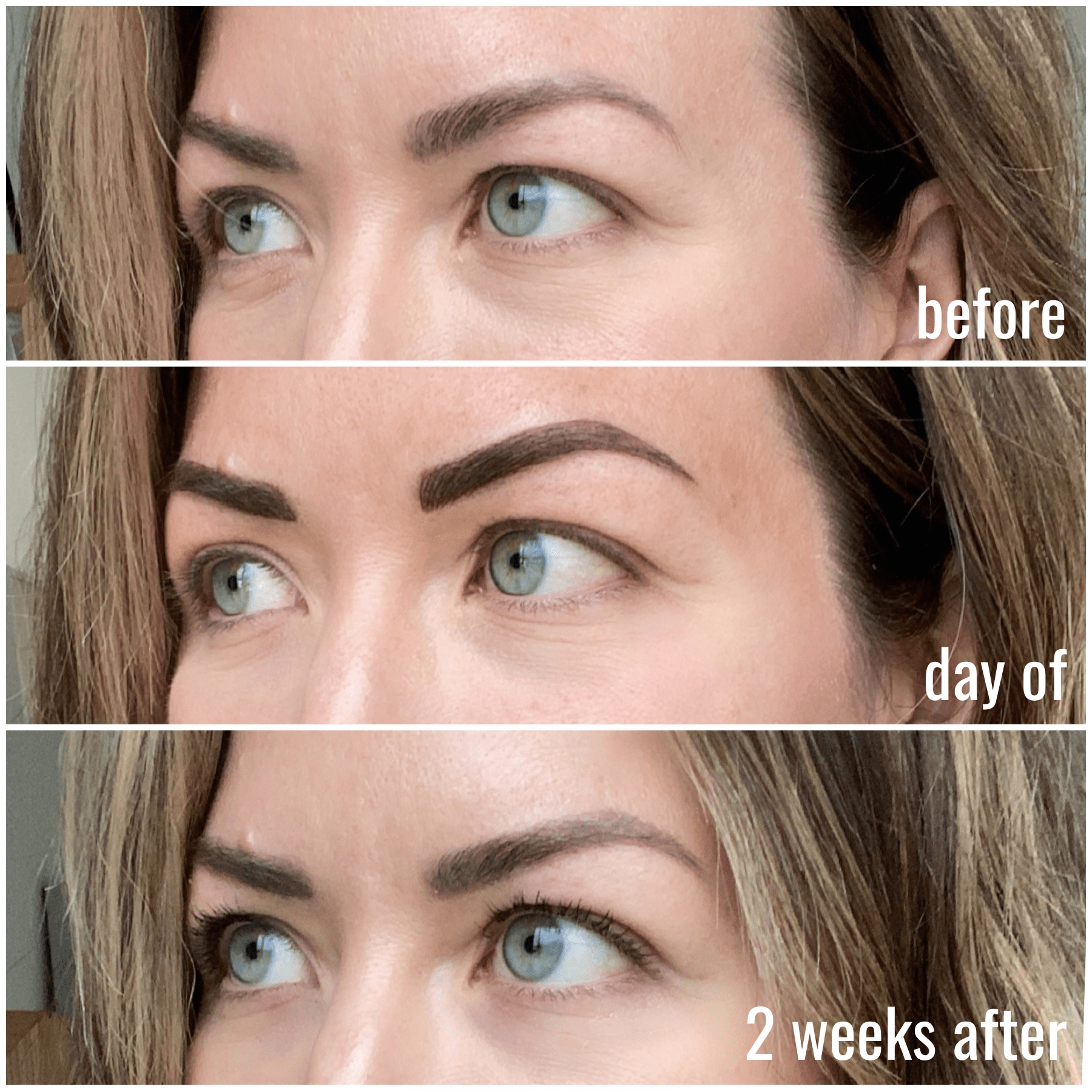 combo brows microblading